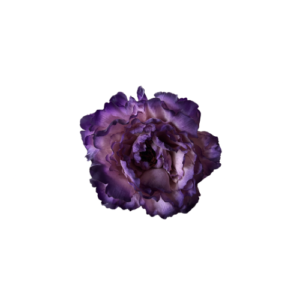 Fabiola1987 te ofrece Flor tipo Peonía para vestir de flamenca color mezcla morado tamaño grande