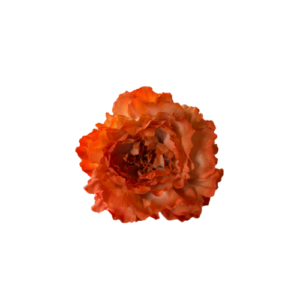 Fabiola1987 te ofrece Flor tipo Peonía para vestir de flamenca color naranja tamaño grande