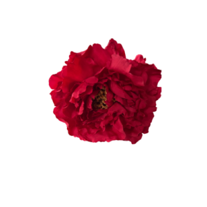 Fabiola1987 te ofrece Flor tipo Peonía para vestir de flamenca color rojo tamaño grande