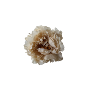 Fabiola1987 te ofrece Flor tipo Peonía para vestir de flamenca color marfil tamaño grande