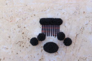 Conjunto de Pendientes largos de metal dorado con dos medias bolas de madroño, Peinecillo y Broche, de color negro de Colección Mis Buganvillas.